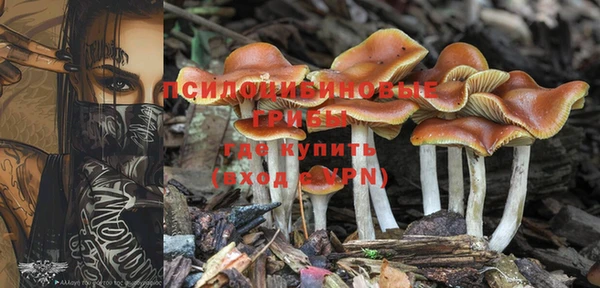 мескалин Аркадак