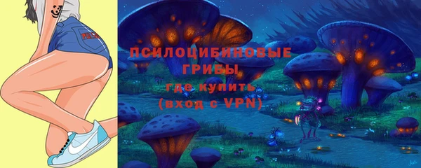 a pvp Армянск
